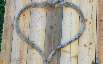 Fotowanderung durch die Jahreszeiten in der Natur