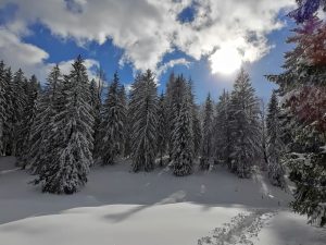Schneeschuhwanderung @ Bosruckhütte